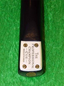 Thumbnail of professional_champion_5437055822_badge.jpg